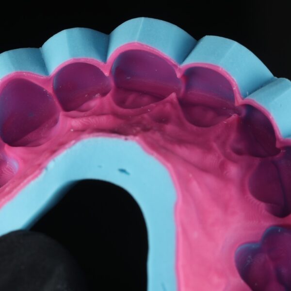 WhatsApp Image 2026-01-26 at 2.59.02 PM